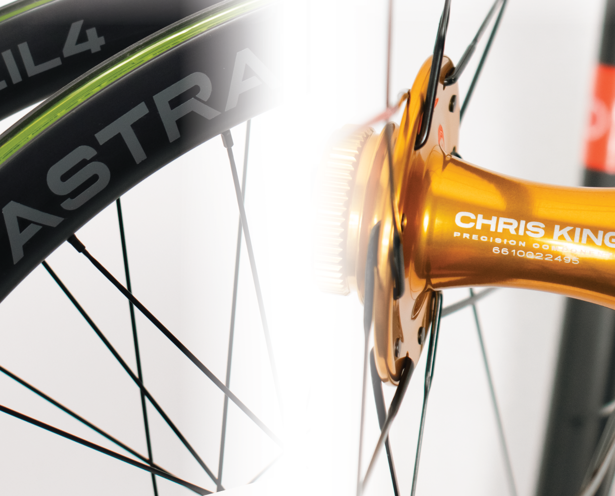 Wheel Build Feature: Elevate Your Ride with the Gold Standard