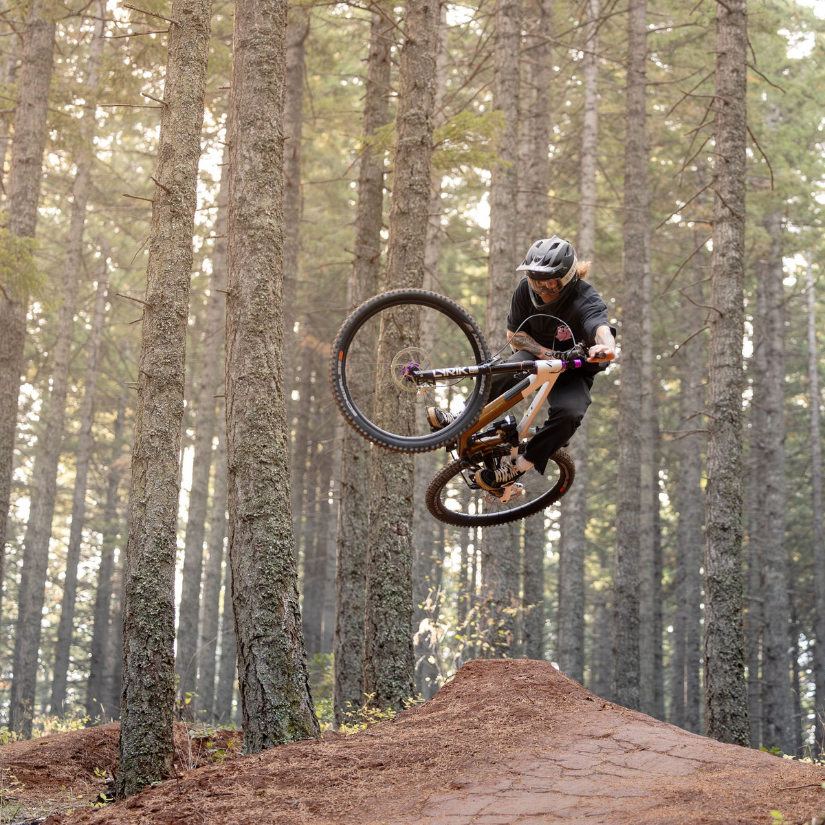 Chris King MTN30 AL- Mountain Wheelset