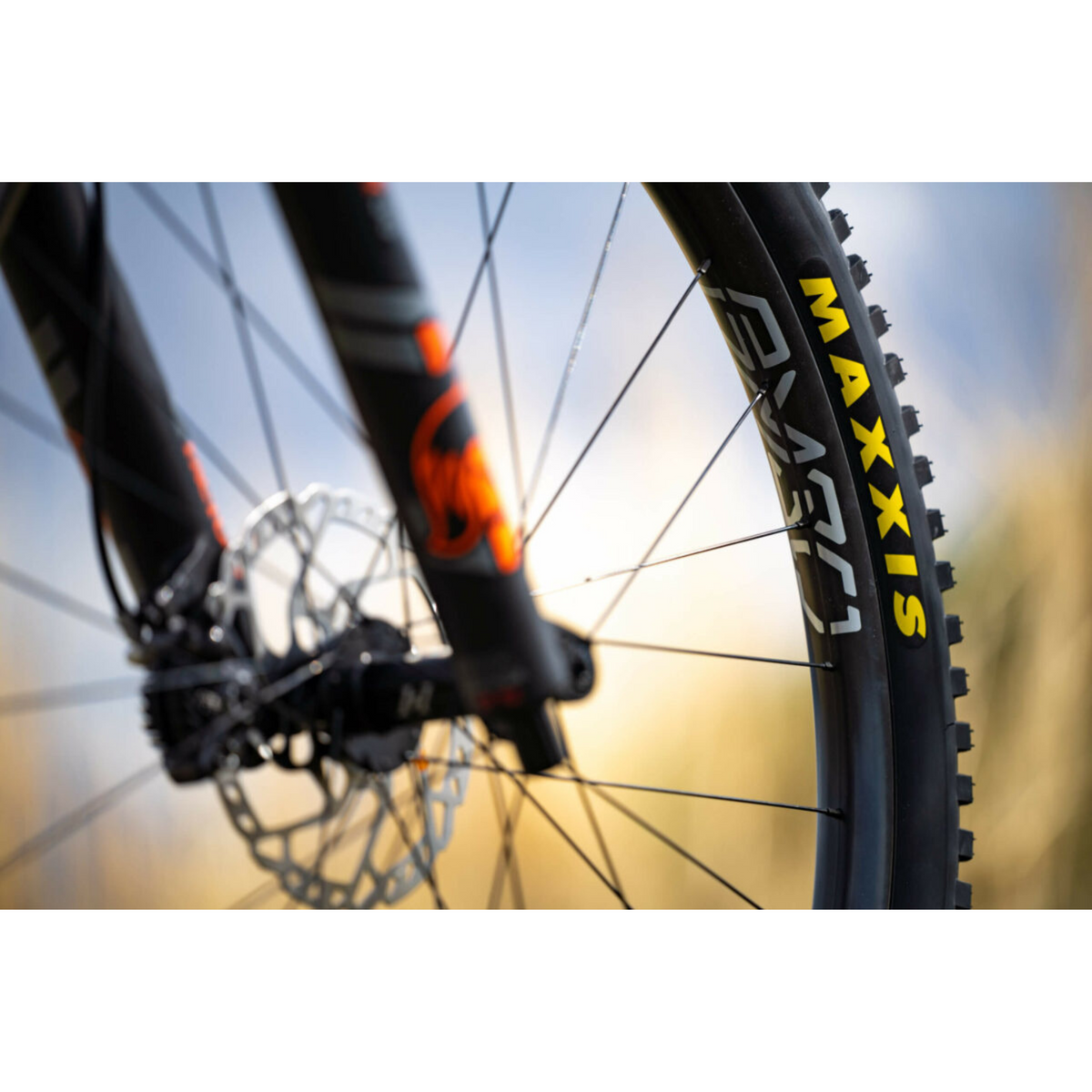 ENVE AM30 29 Rim