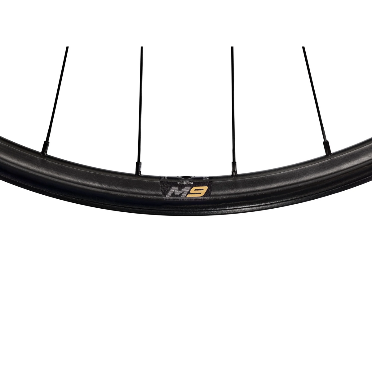 Rotelle Avt Rim ENVE M8 Rim | AVT.bike - AVT.Bike