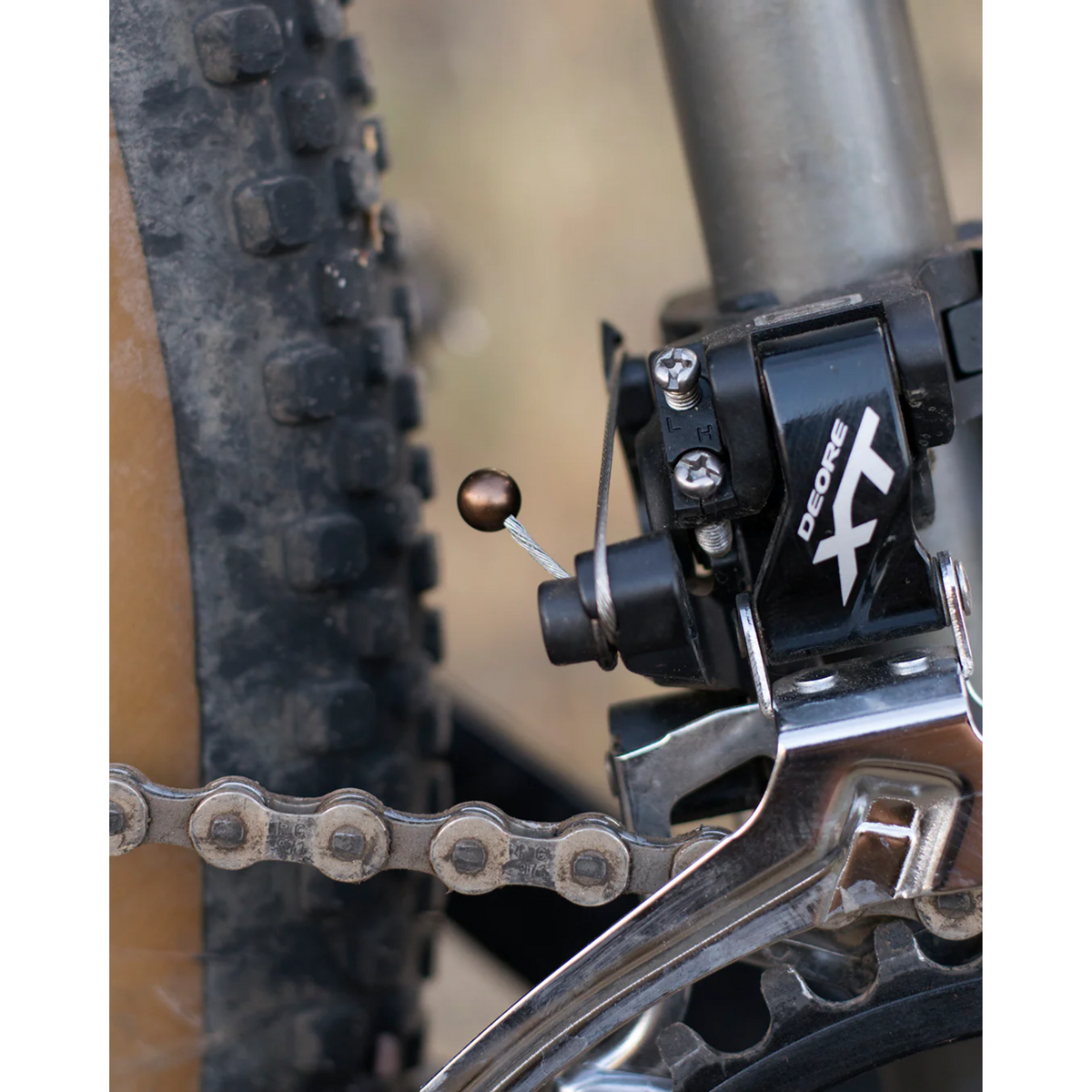 Forager Cable Cherries