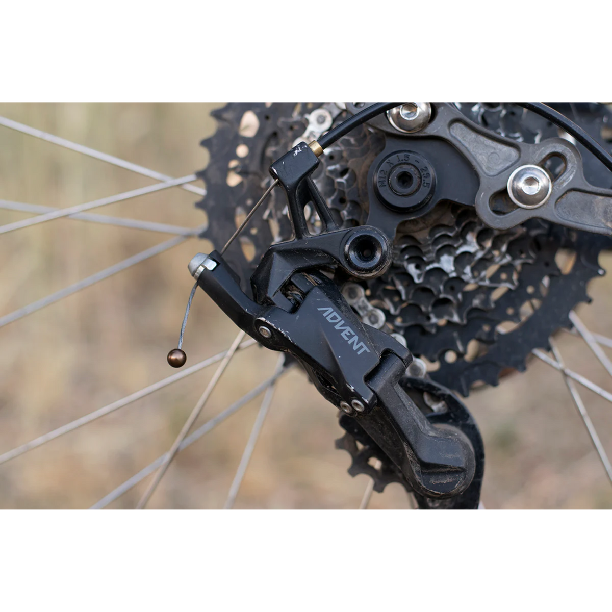 Forager Cable Cherries