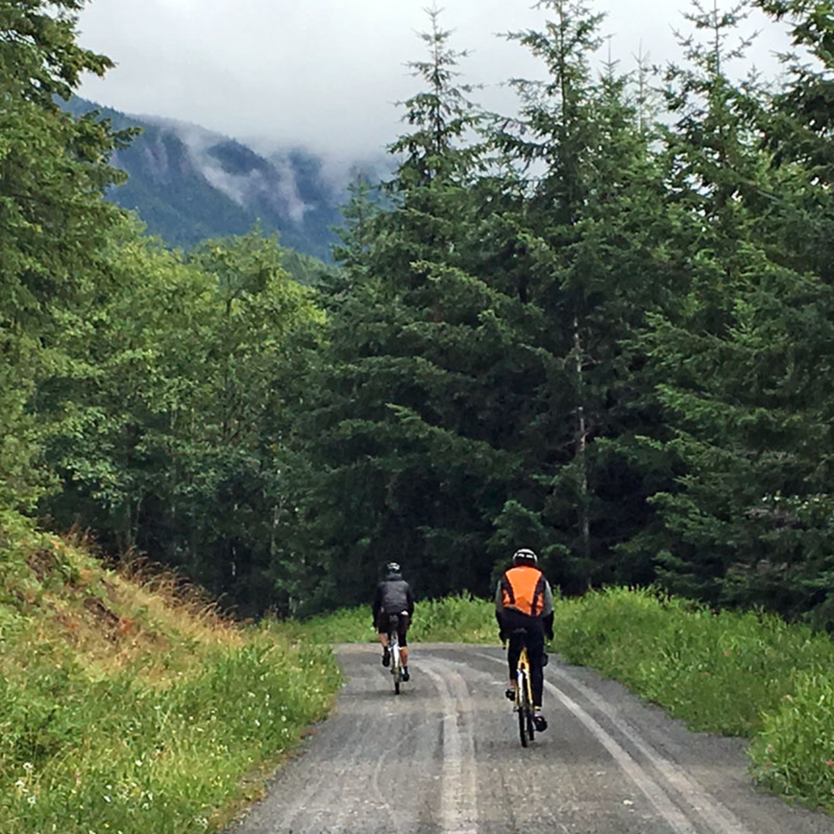 Rene Herse Bon Jon Pass TC Tire 700x35