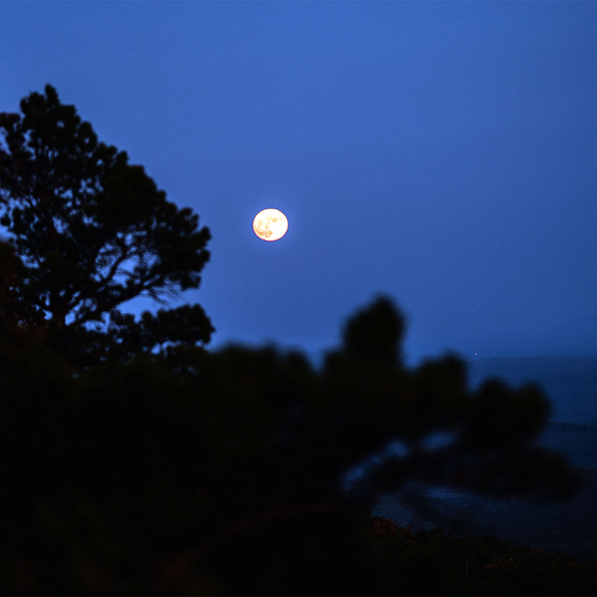 Rene Herse  Poteau Mountain TC Semi-Slick 700x48