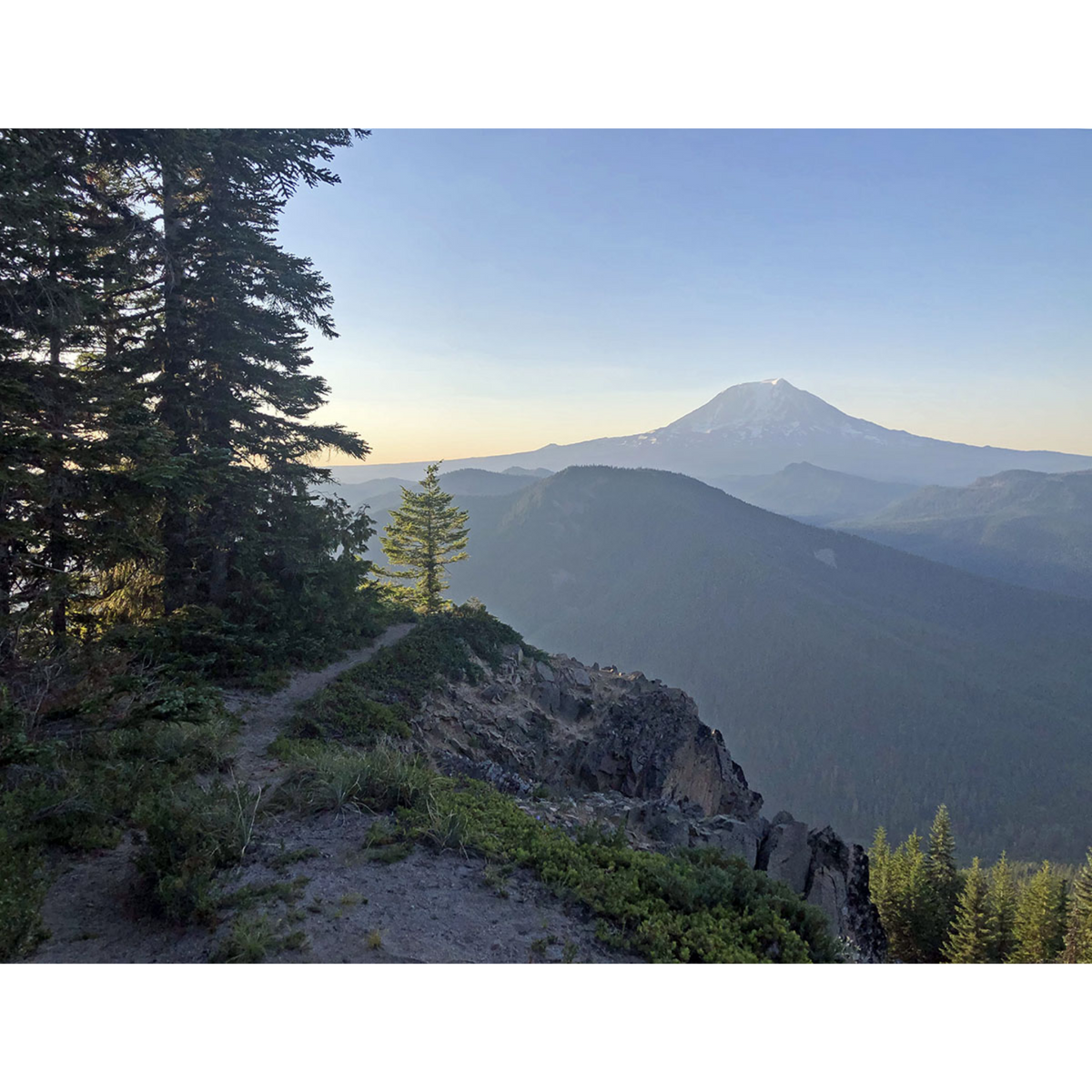 Rene Herse Juniper Ridge TC 650b x 48mm