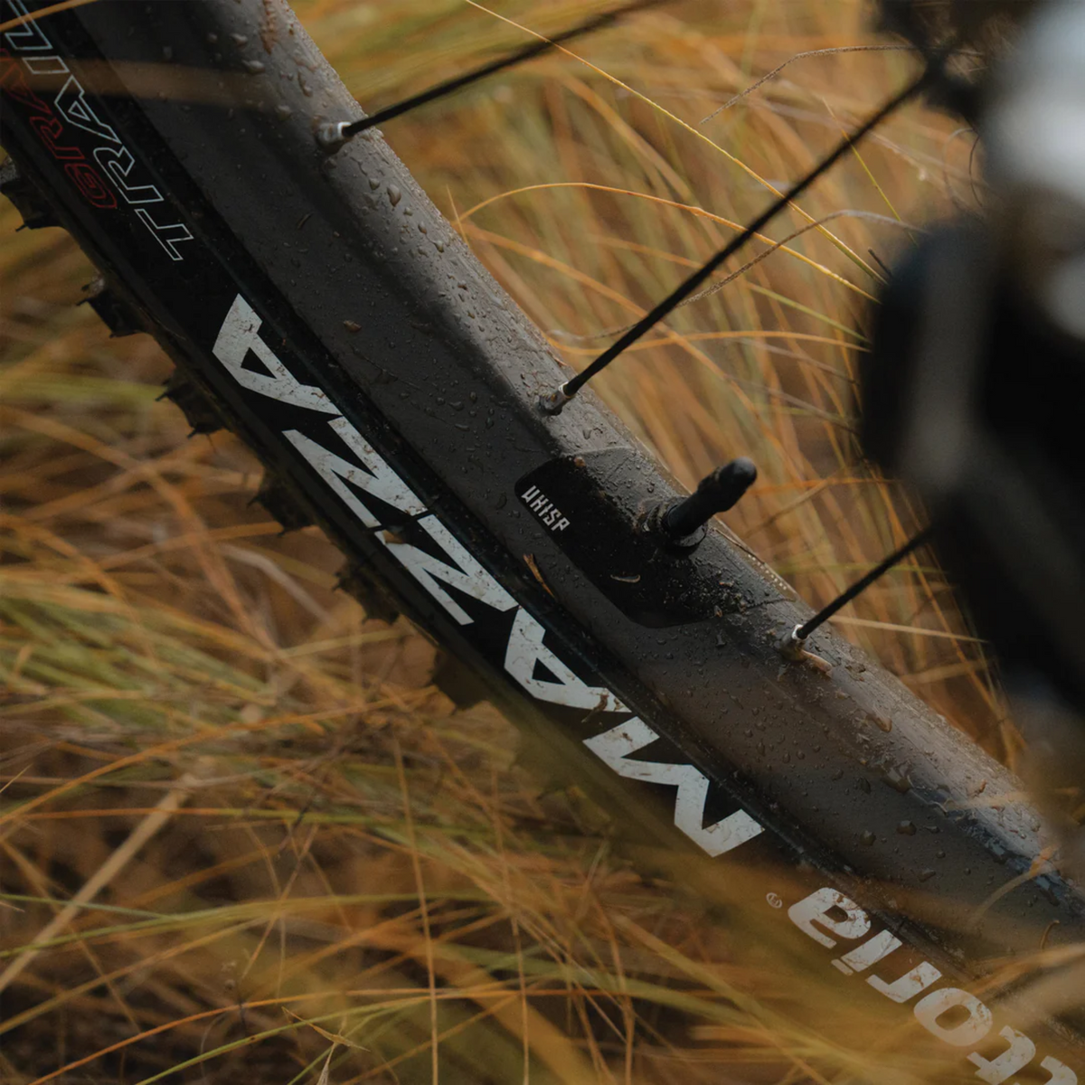 We Are One Whisp Rim