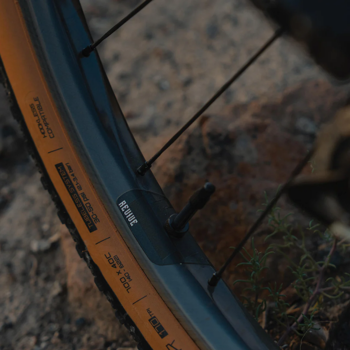 We Are One Revive 2.0 Rim