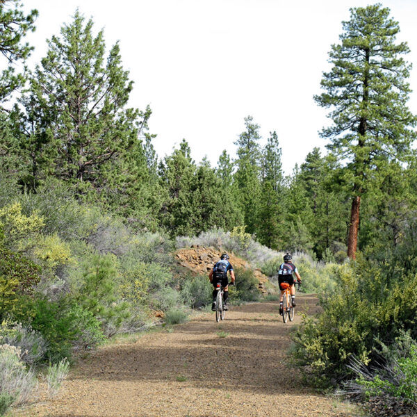 Rene Herse Switchback Hill TC 650B x 48