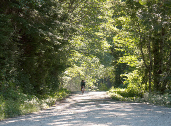 Rene Herse Barlow Pass TC Tire 700x38