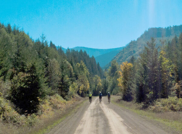 Rene Herse Stampede Pass Tire 700x32